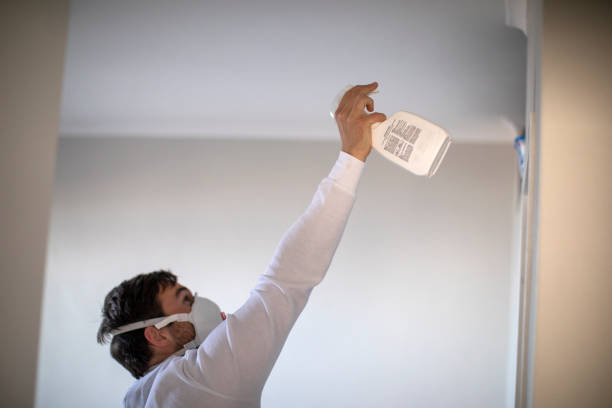 Best Mold Removal Company Near Me  in Galatia, IL
