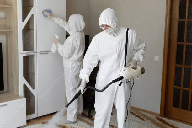 Best Commercial Mold Removal  in Galatia, IL